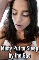 Misty Put to Sleep by the Gas